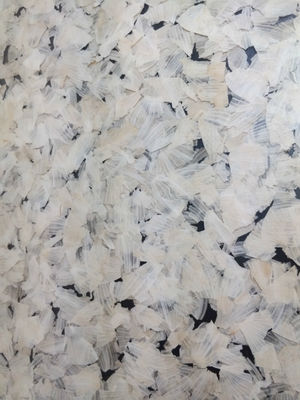 Decorative Wall Cladding 19mm Obscure Plant Laminated Glass