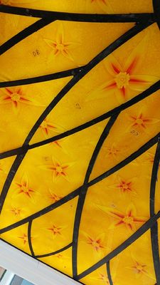 Ceiling Orange Scratchproof 12mm Coloured Glass Panels