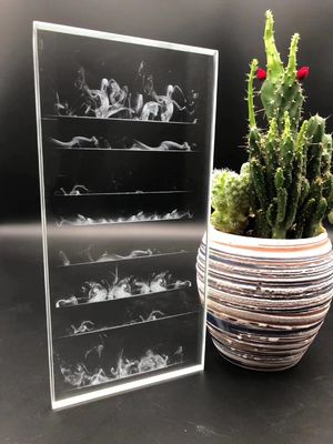 Window Partition Mural Laser 6mm Sand Carved Glass