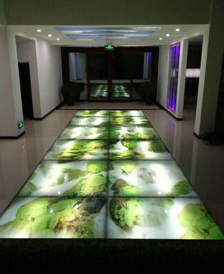 Window Vivid Color Ceramic  Frit 12mm Glass Wall Murals
