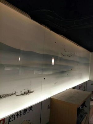Protective Tinted 2440X1830mm Decorative Glass Wall Dividers