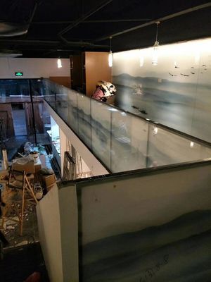 Protective Tinted 2440X1830mm Decorative Glass Wall Dividers