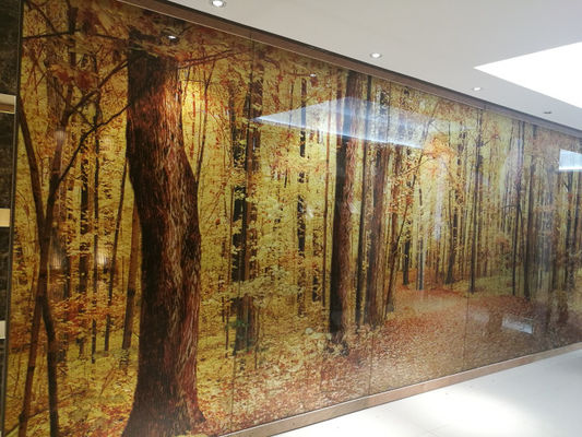 Screen Partition Ultra Clear 12mm Decorative Fused Glass